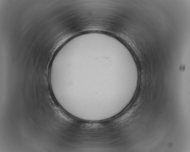 X0000096641129200803041120