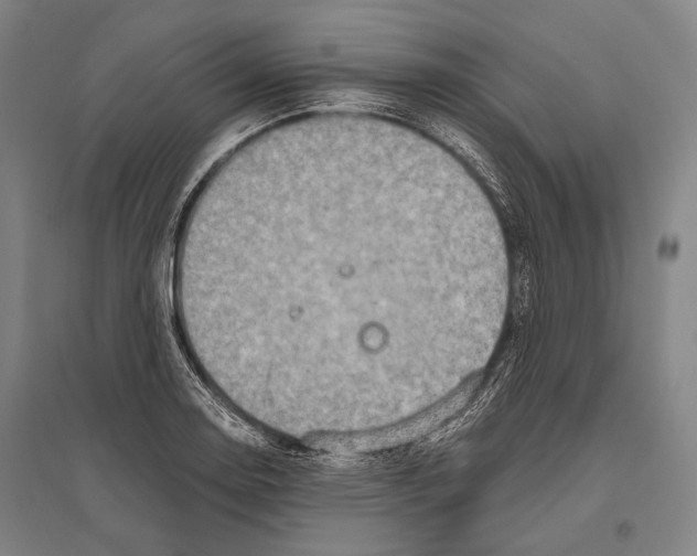 X0000096641130200803041120