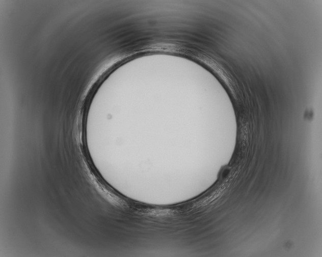 X0000096641131200803041120