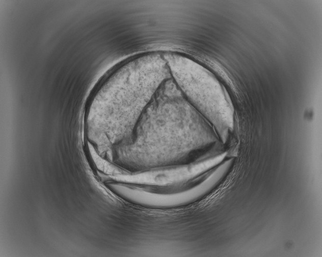 X0000096641132200803041120