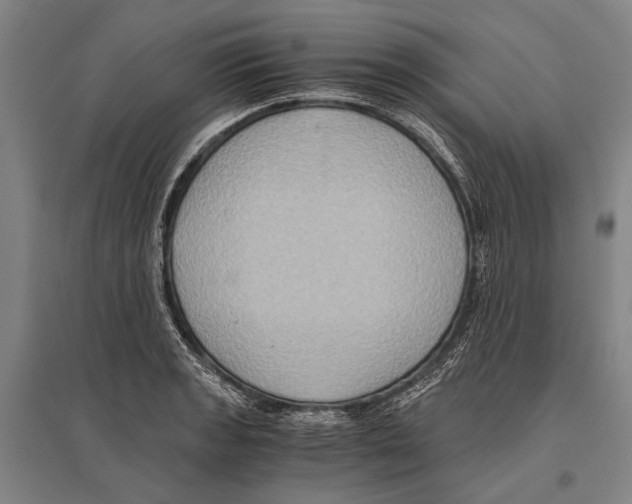 X0000096641133200803041120