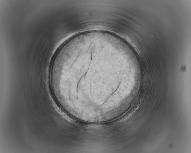 X0000096641134200803041120