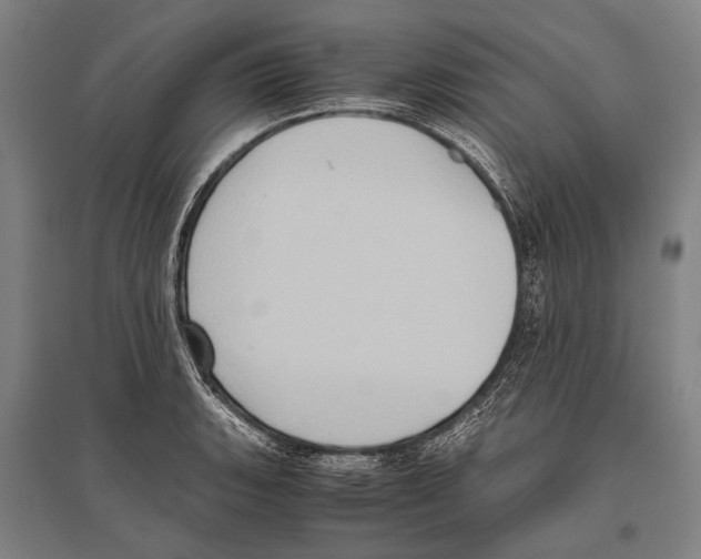 X0000096641135200803041120