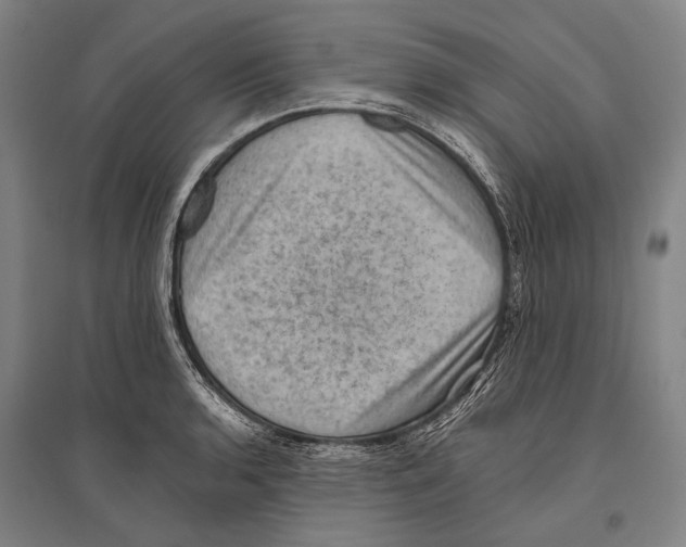 X0000096641136200803041120