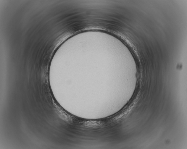 X0000096641137200803041120