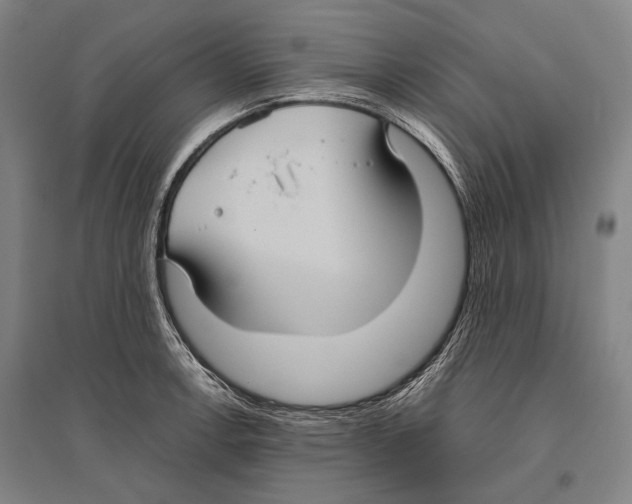 X0000096641138200803041120