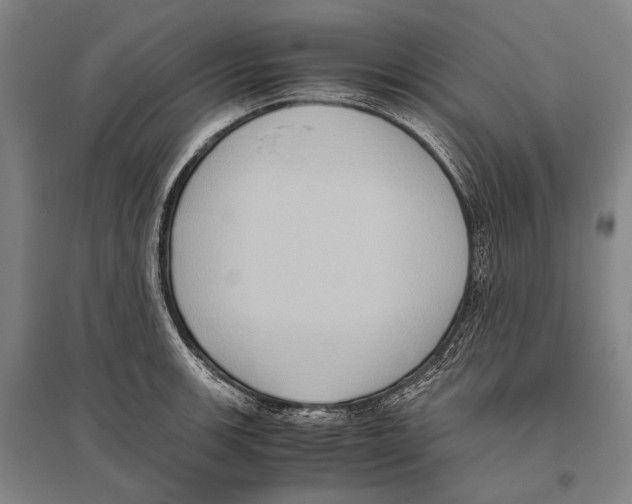 X0000096641139200803041120