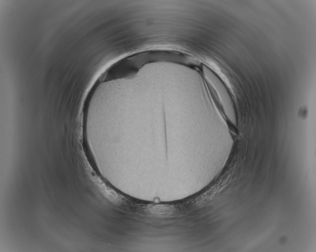 X0000096641140200803041120