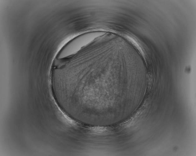 X0000096641141200803041120