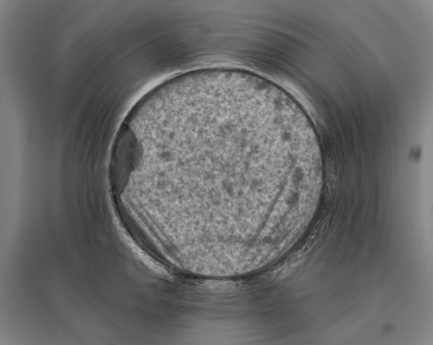 X0000096641142200803041120