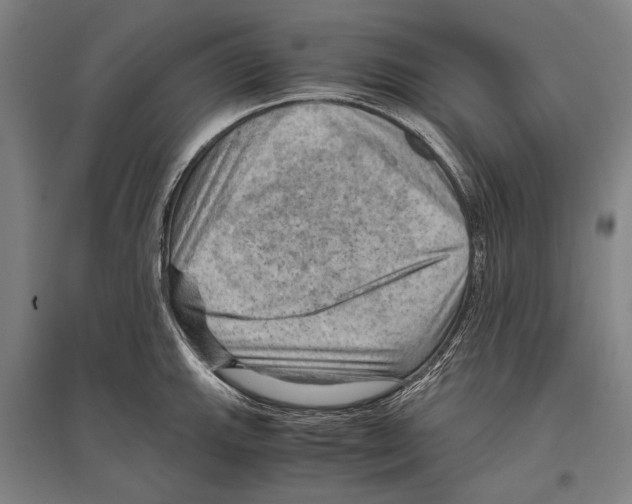 X0000096641143200803041120