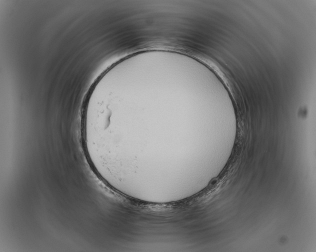 X0000096641147200803041121