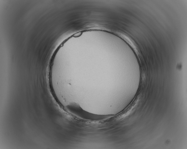 X0000096641149200803041121