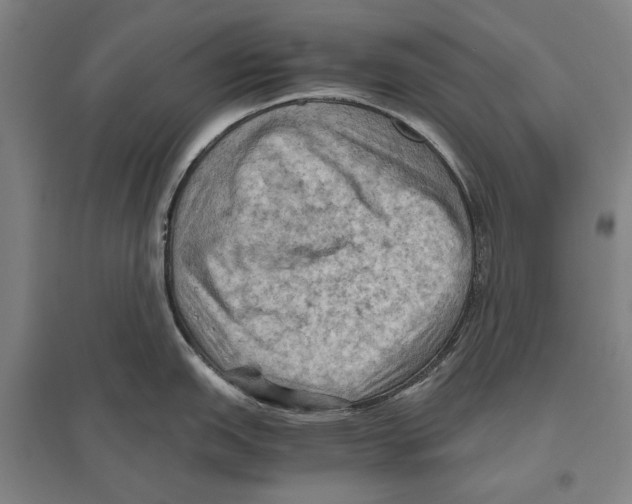 X0000096641151200803041121