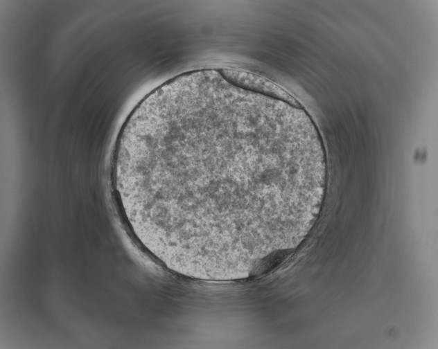 X0000096641152200803041121