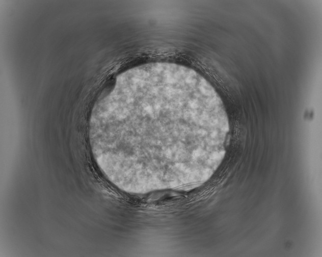 X0000096641153200803041120