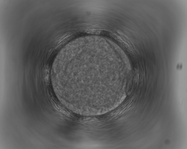 X0000096641154200803041120