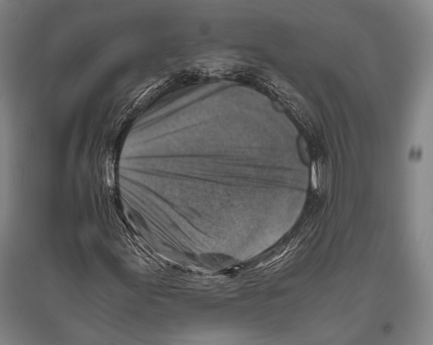 X0000096641155200803041120