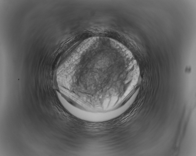 X0000096641156200803041120