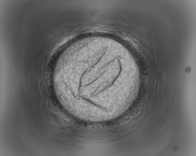 X0000096641159200803041120