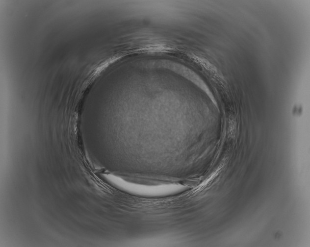 X0000096641161200803041120