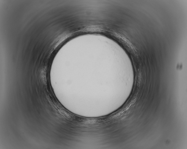 X0000096641162200803041120