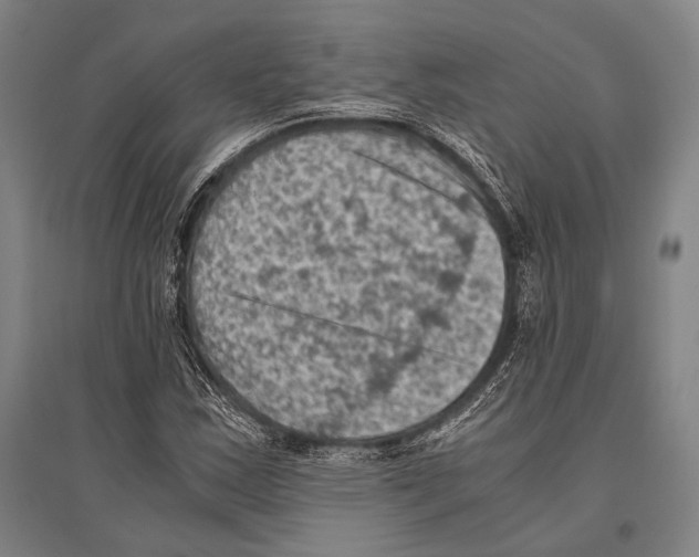 X0000096641163200803041120