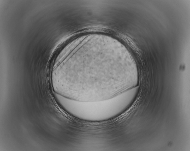 X0000096641164200803041120