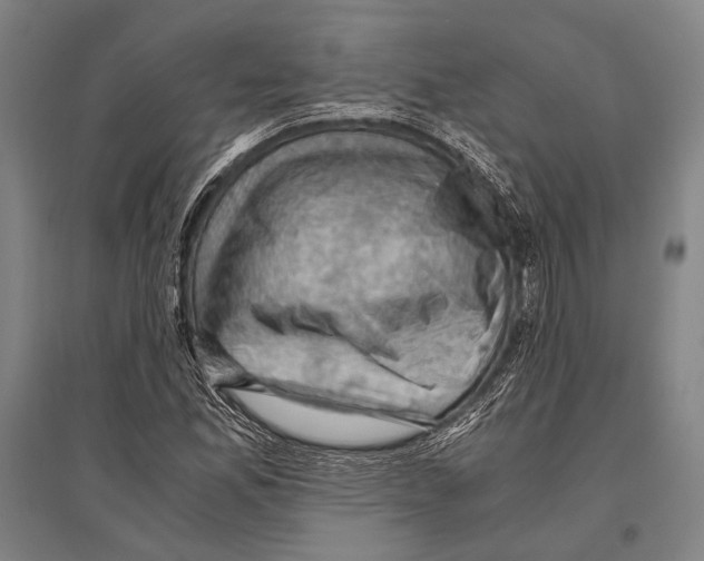 X0000096641165200803041120