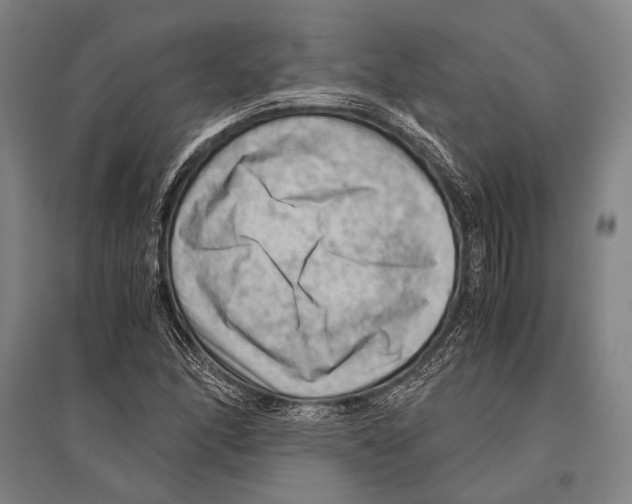 X0000096641166200803041120