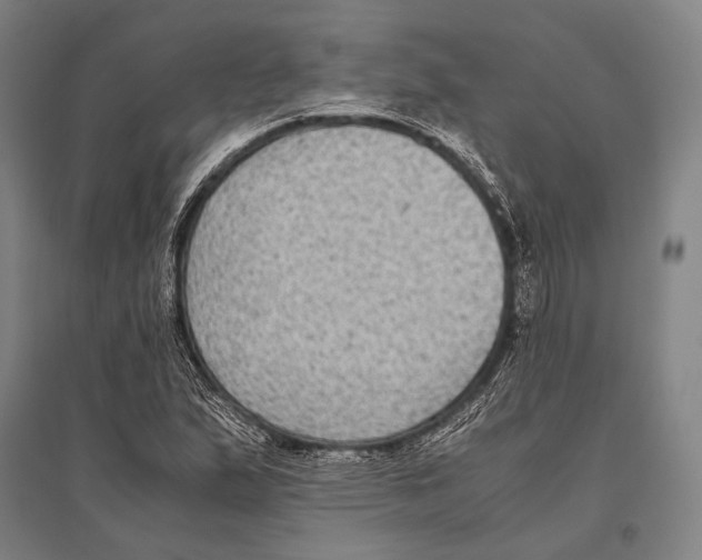 X0000096641167200803041120