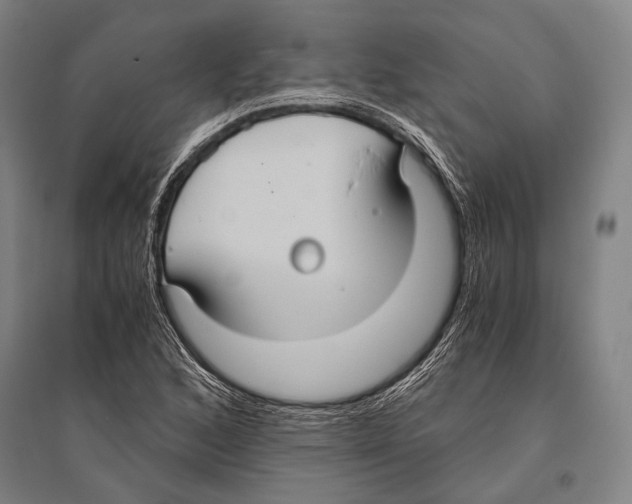 X0000096641168200803041120