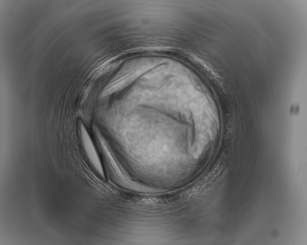 X0000096641169200803041120