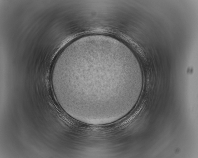 X0000096641170200803041120