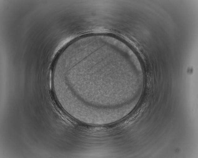 X0000096641171200803041120