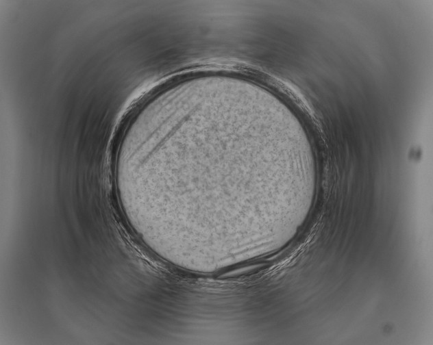 X0000096641172200803041120