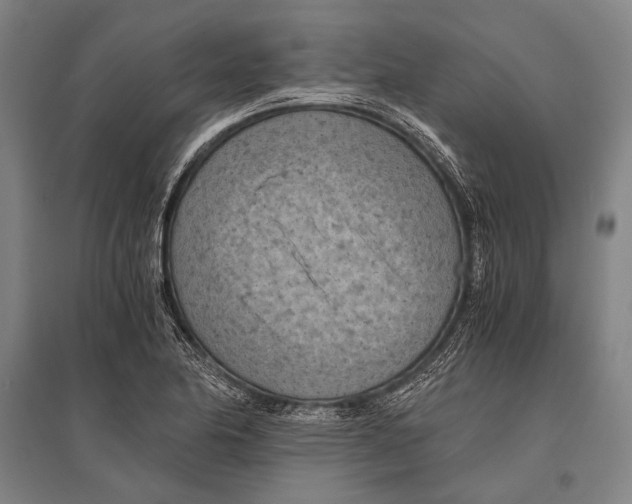 X0000096641174200803041120