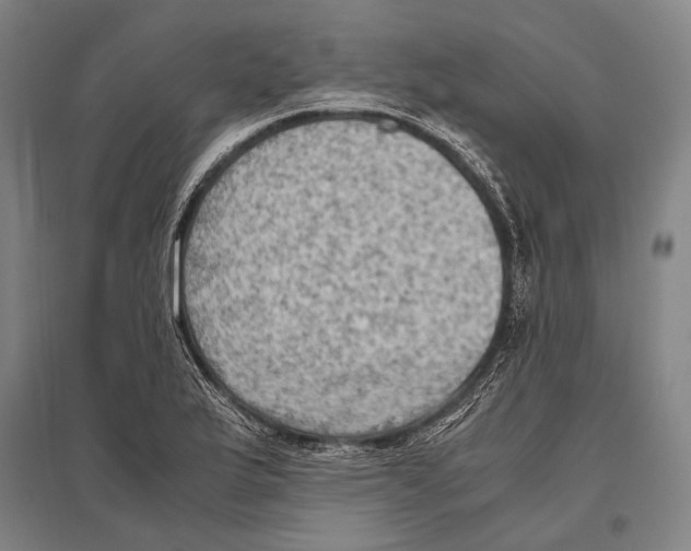 X0000096641175200803041120