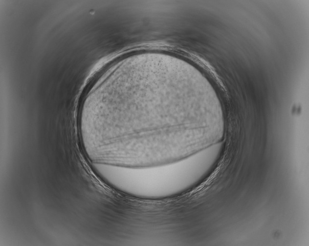 X0000096641176200803041120