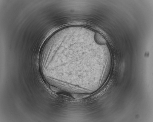 X0000096641178200803041120