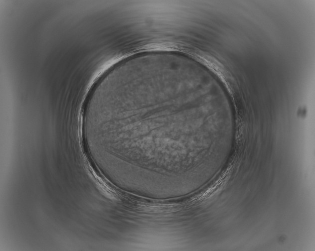 X0000096641179200803041120