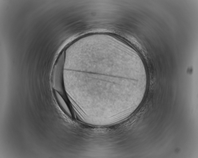 X0000096641181200803041120