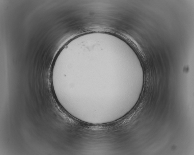 X0000096641182200803041120