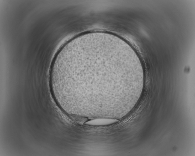 X0000096641183200803041120