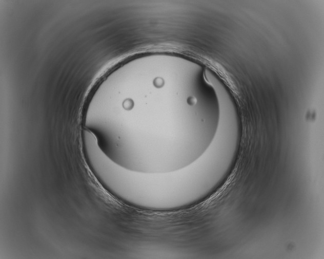 X0000096641184200803041120