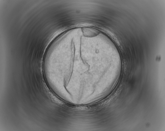 X0000096641186200803041119