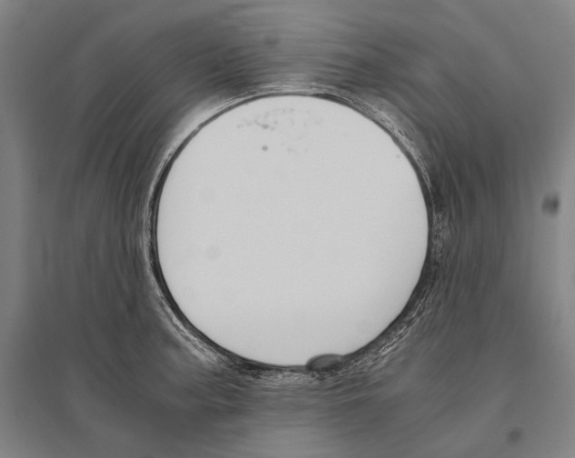 X0000096641187200803041119