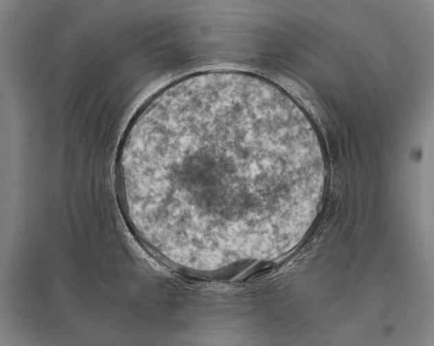 X0000096641189200803041119