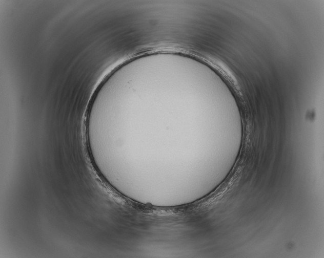 X0000096641190200803041119