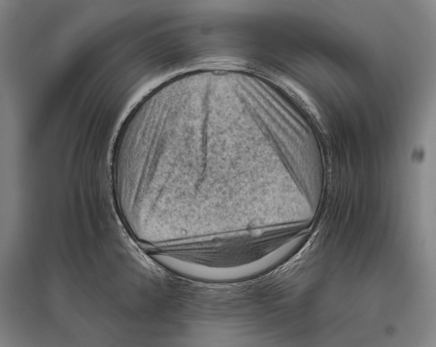 X0000096641192200803041119